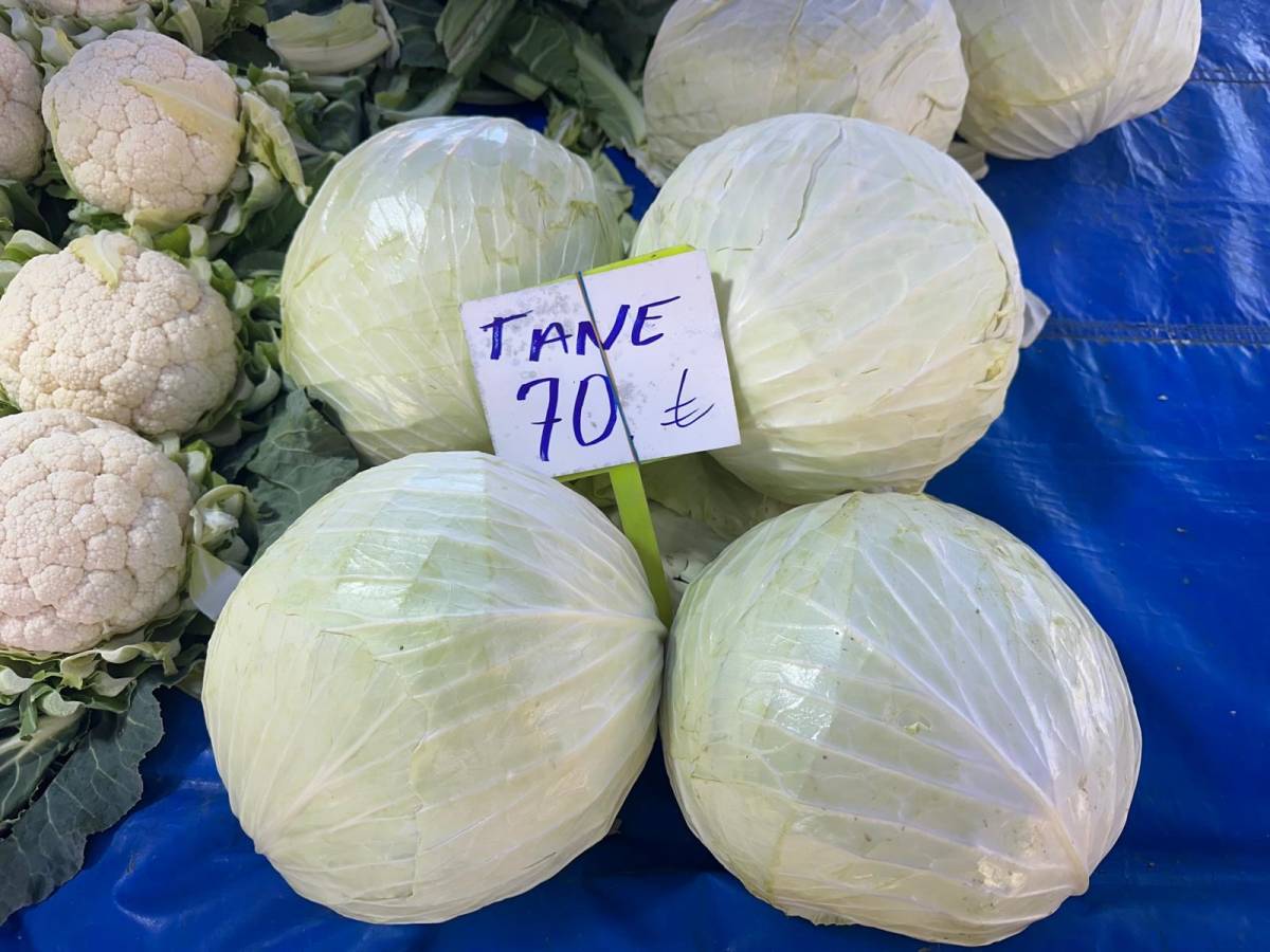 Pazarda 70 lira ama yüzbinlercesi tarlada çürüdü