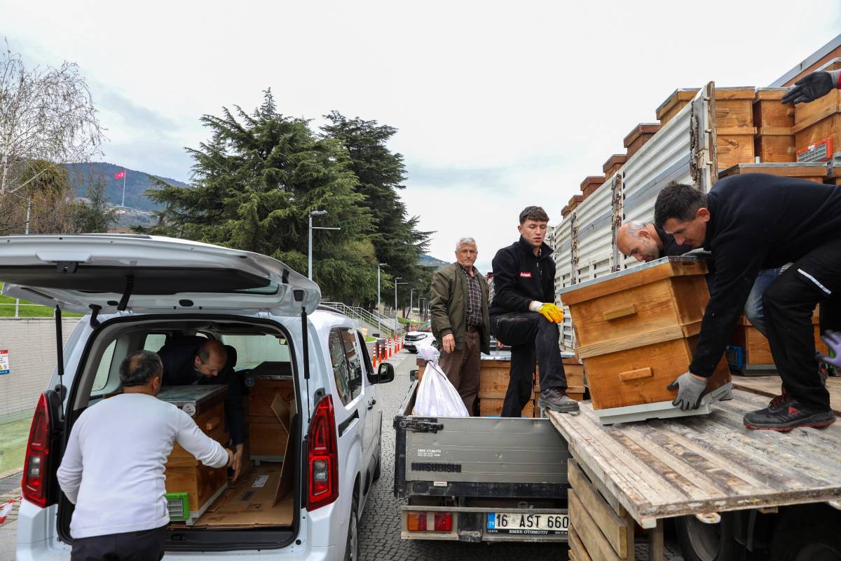 Bursa Büyükşehir'den üreticiye hem bilgi hem kovan desteği