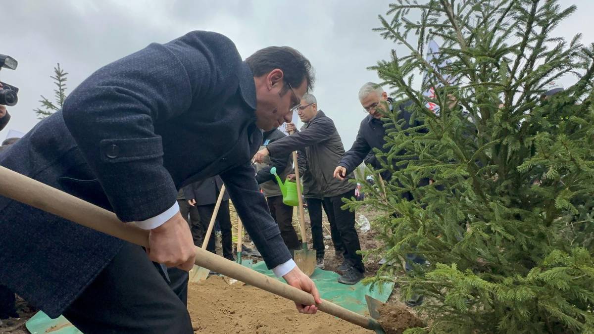 Bursa'da 2 yıl önce yanan 80 hektarlık alan ağaçlandırıldı