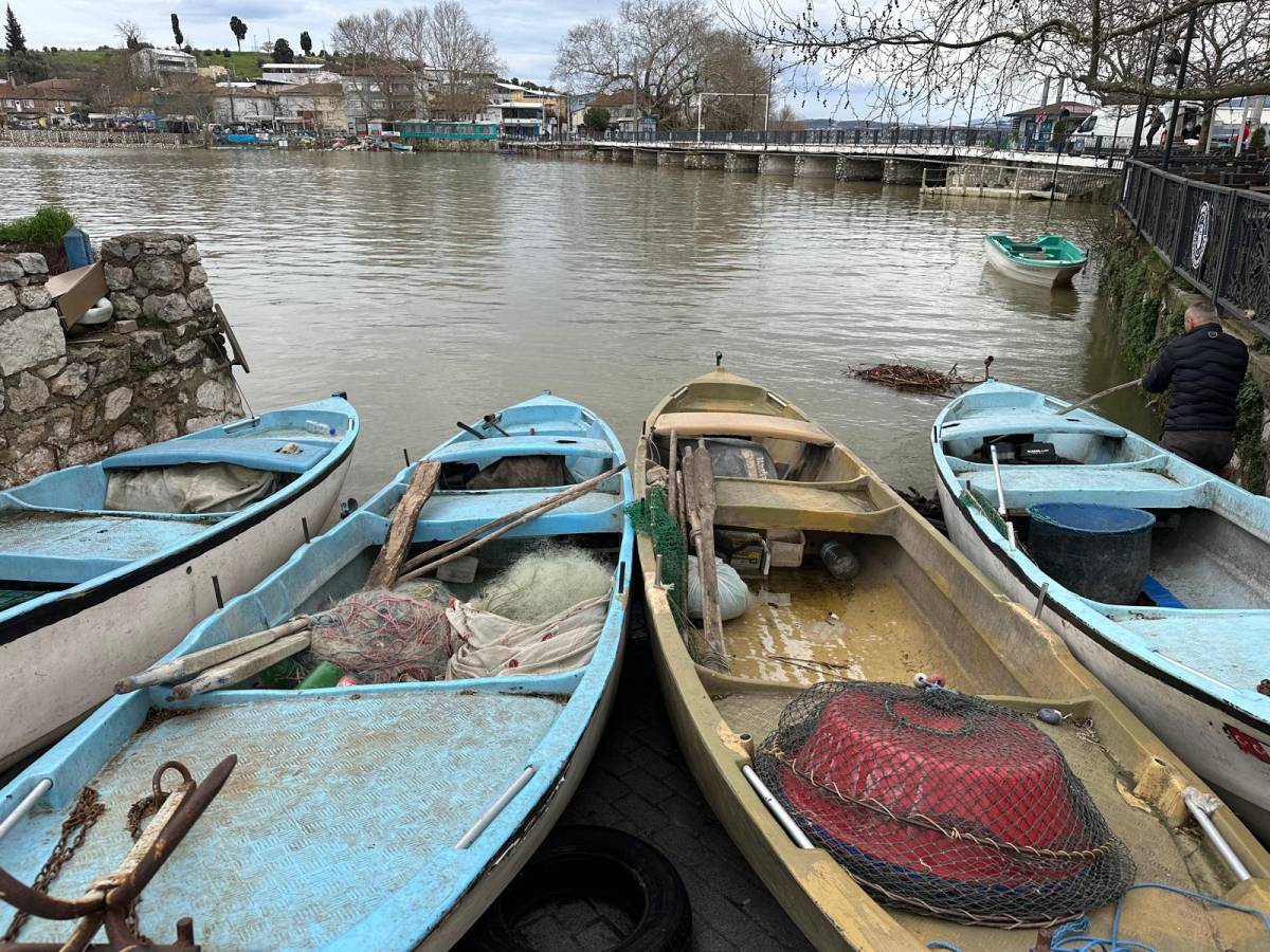 İstila etti çoğaldı, yayıldı; balıkçılara gelir kaynağı oldu