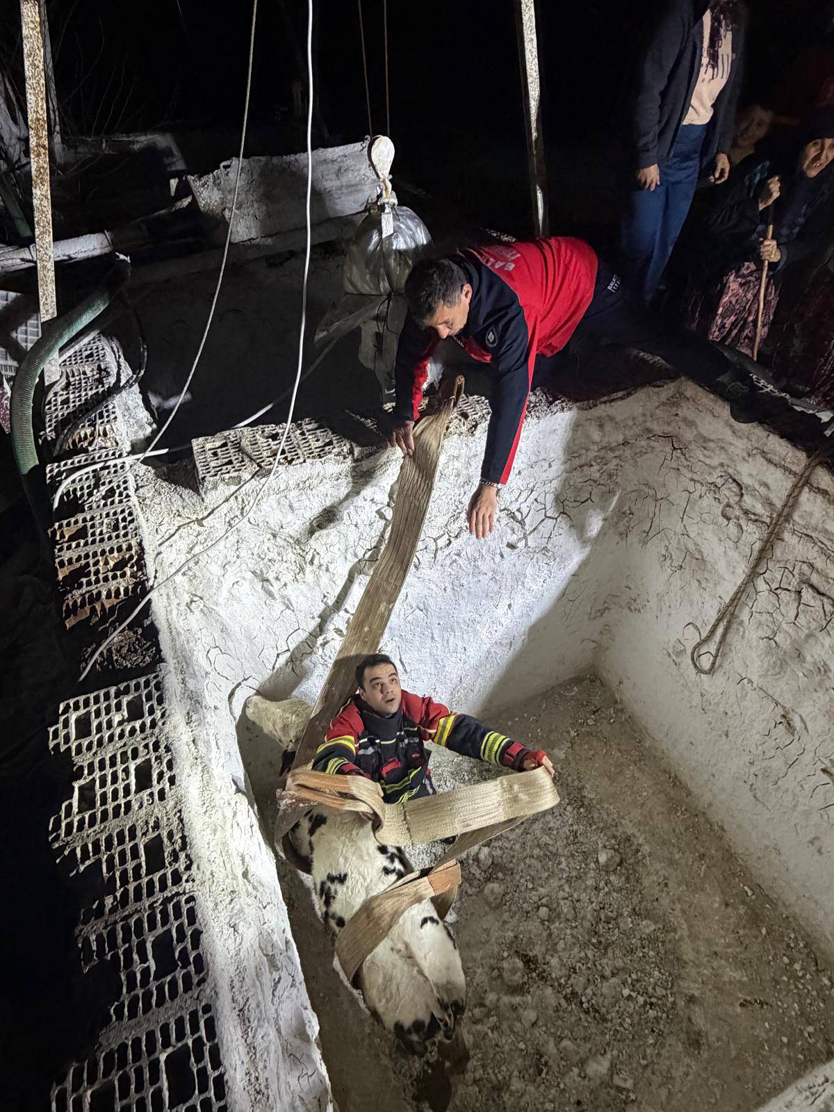 Kuyuya düşen inek kurtarıldı