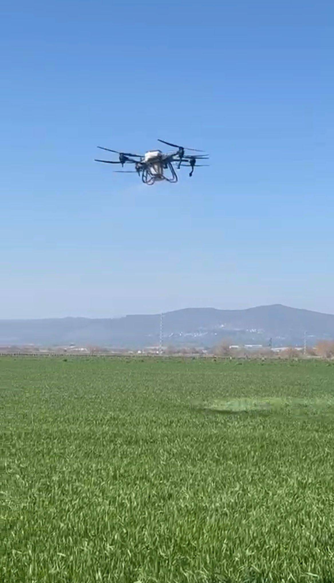 Manisa'da traktör girmeyen tarlaya drone ile gübre atılıyor