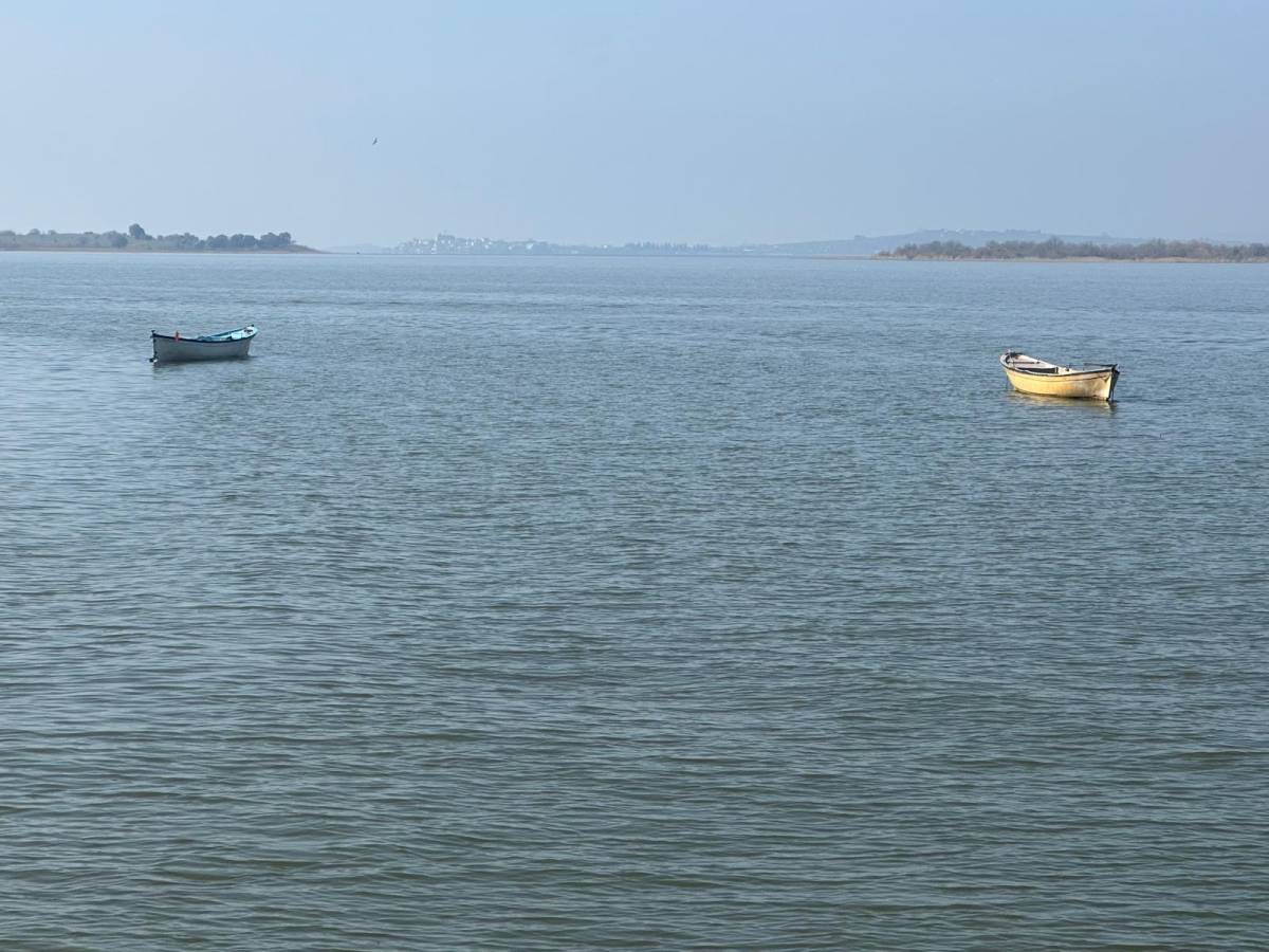 Turna severlere Uluabat Gölü'nden güzel haberler var