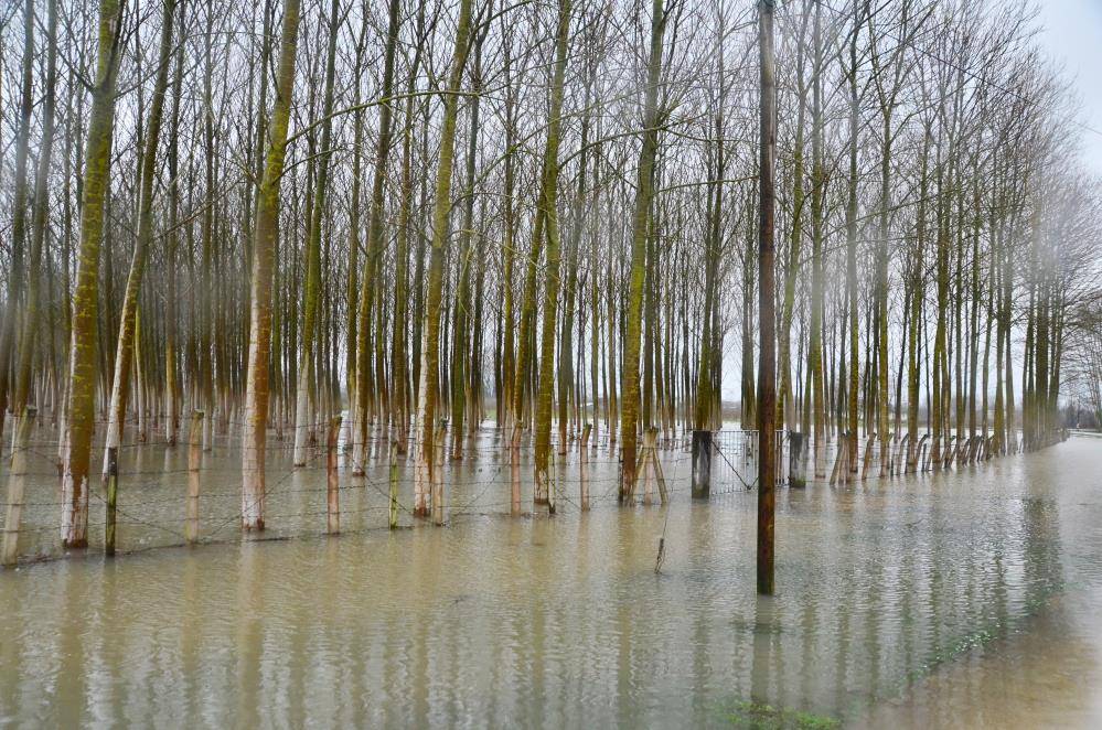 Terme'de tarım arazileri su, yüksekler ise kar altında