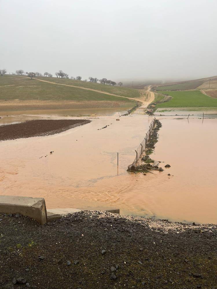 Yağmurdan ahır çöktü 30 büyükbaş öldü, 40 koyun sele kapıldı