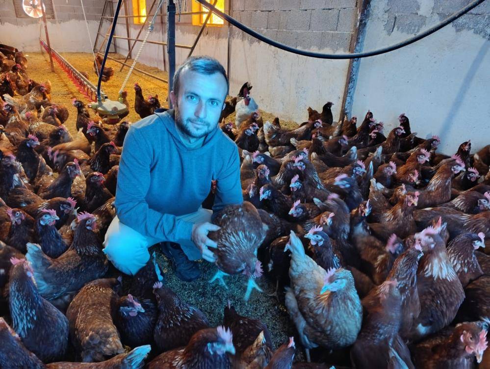 Ev kirası yüzünden köyüne dönüp gezen tavuk çiftliği kurdu