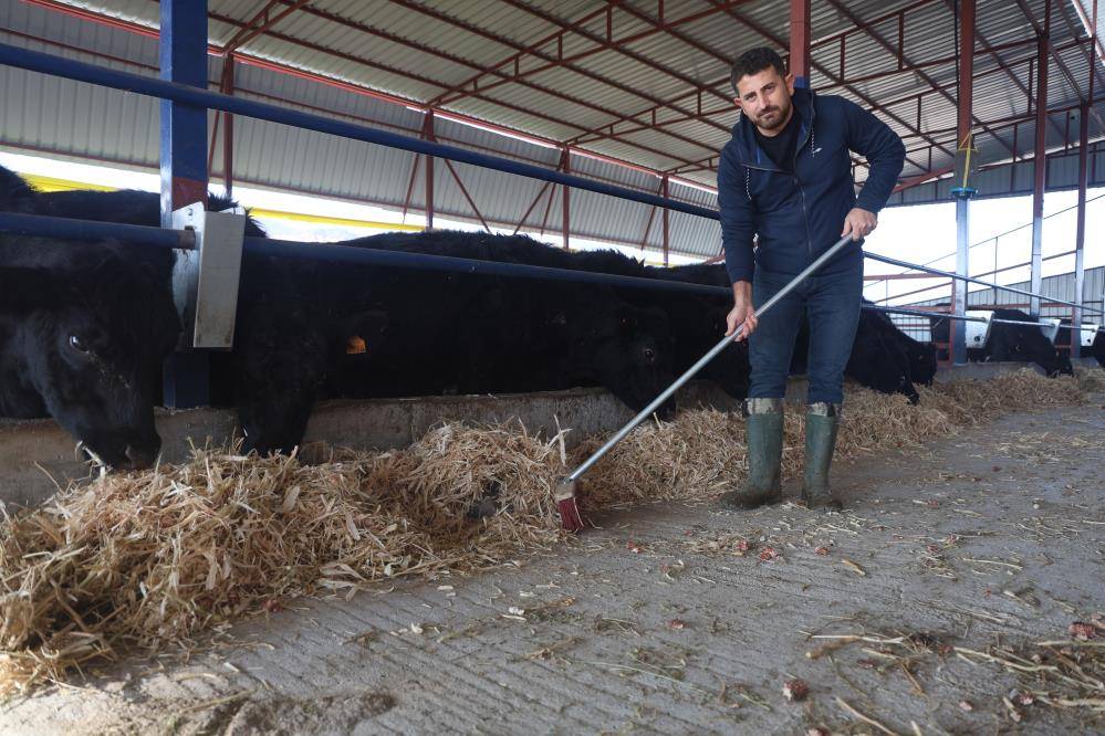 Ziraat mühendisliğini bırakıp destekle hayvancılığa başladı