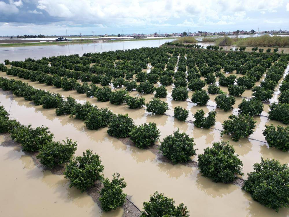 Tarsus'ta seralar ve meyve bahçeleri göle döndü