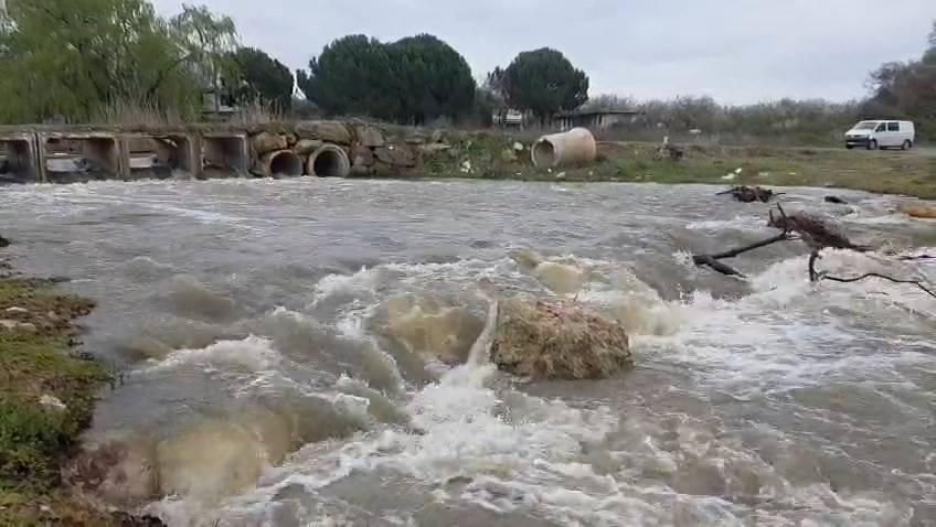 İznik Gölü'nün umudu Karasu Deresi yağışlarla canlandı