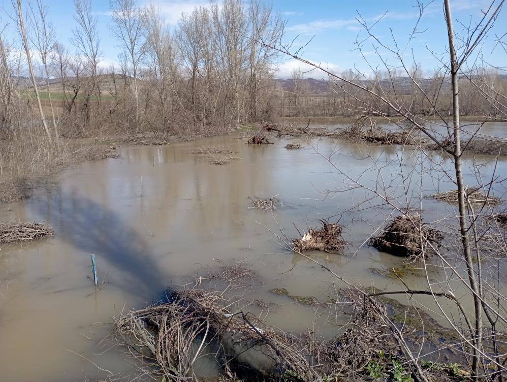 Çekerek Irmağı taştı: Şeker pancarı üreticisi çaresiz