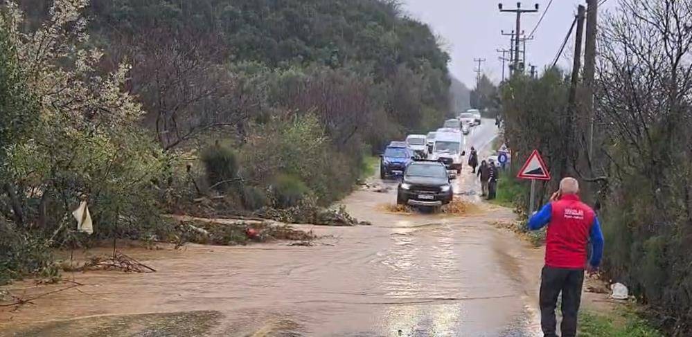 Yalova’da dereler taştı, 5 büyükbaş hayvan telef oldu