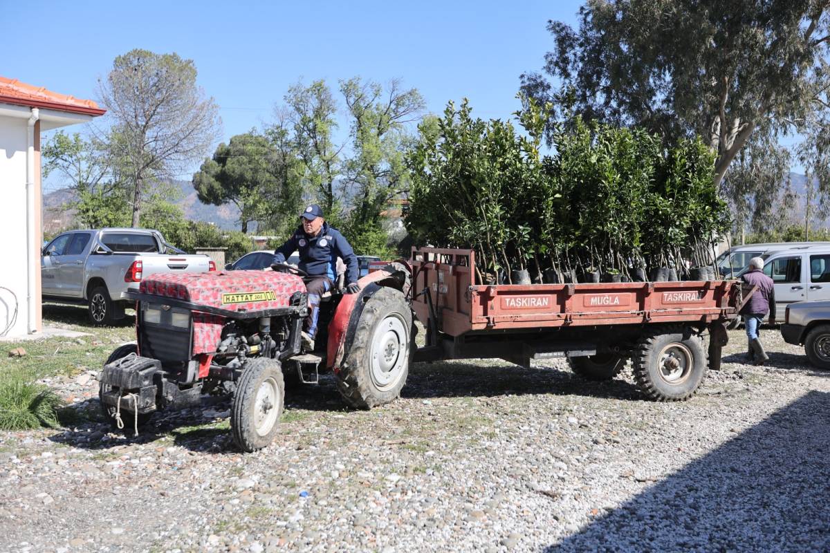 Dondan zarar gören Köyceğiz üreticilerine fidan desteği