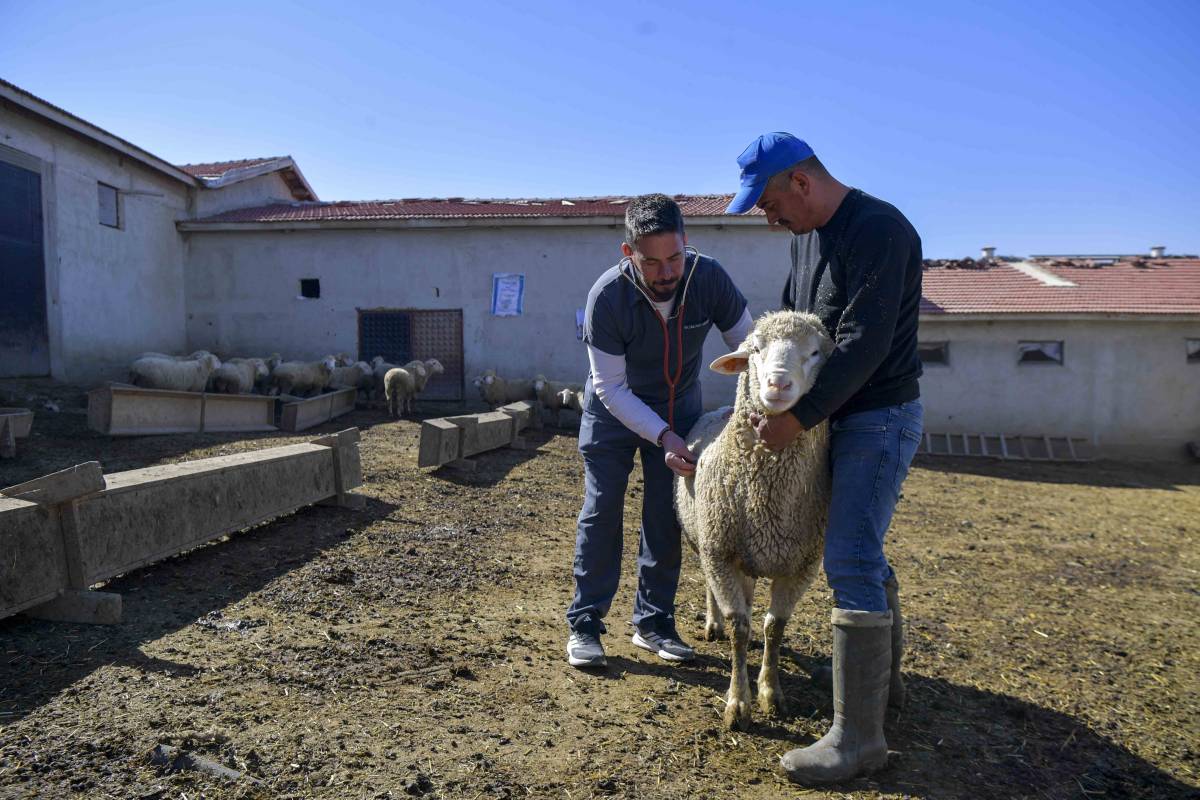 Çiftçinin maliyet yükündeki artış hız kesmiyor