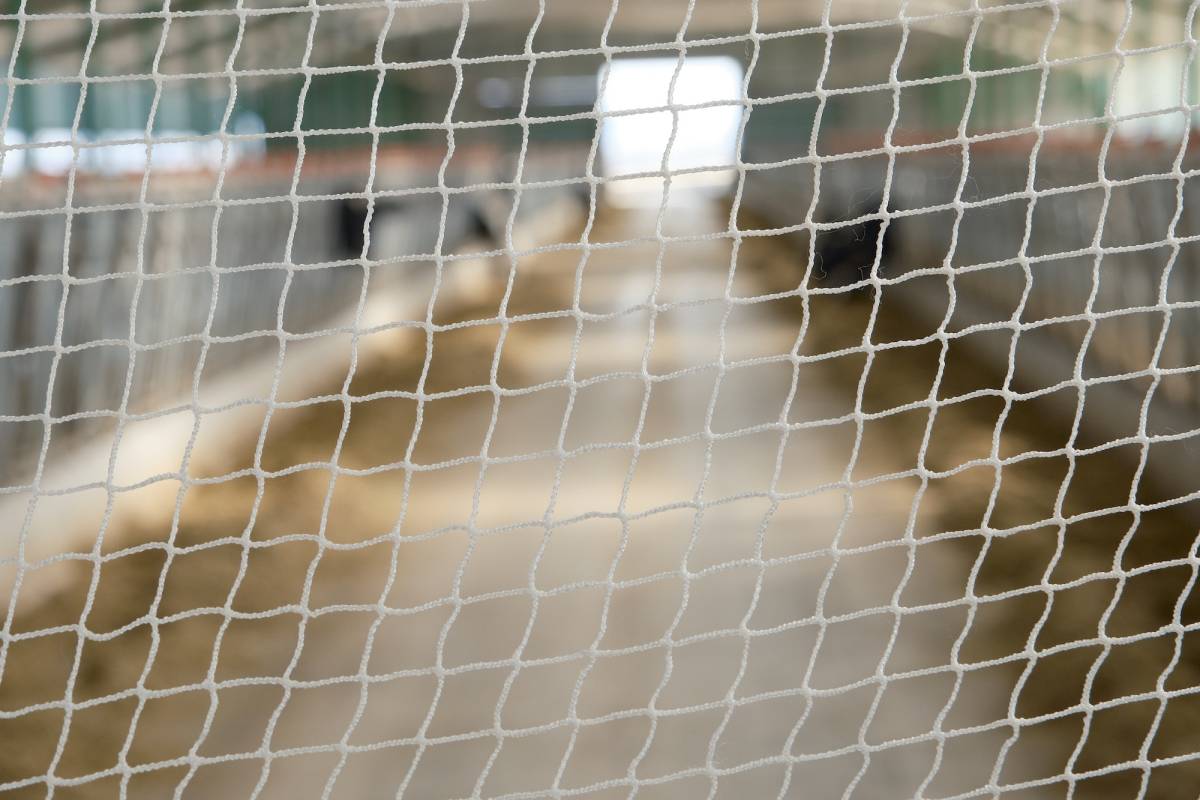 Hayvancılık işletmelerinde kuş filesi ile yüzde 100 biyogüvenlik sağlanabiliyor