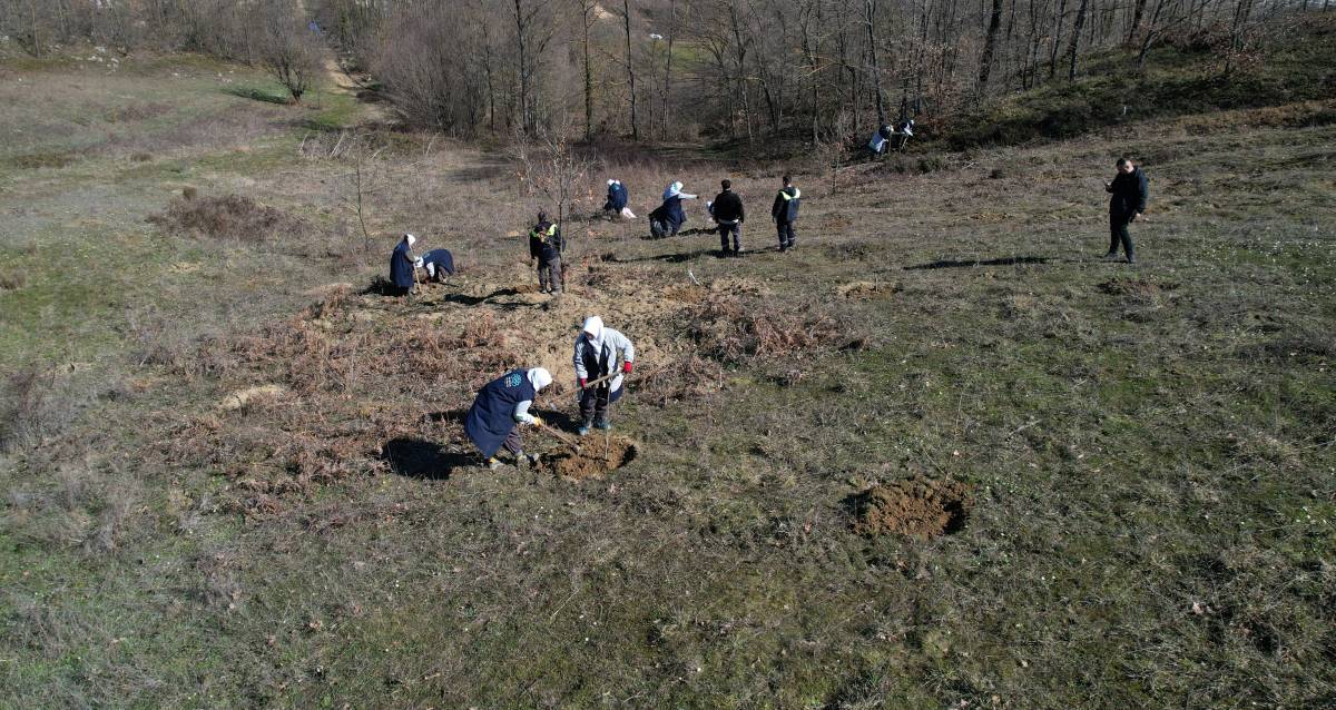 Nilüfer’in atıl tarım arazileri ormanla gelir sağlayacak