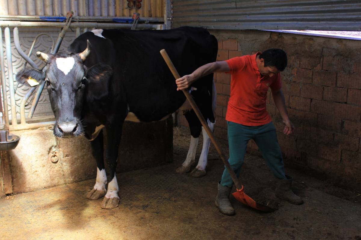 Betonda büyüdük tarımda küçüldük