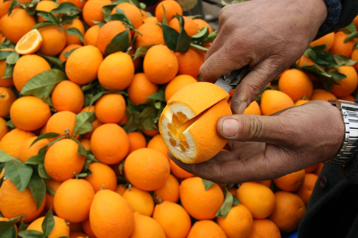 Çiftçi enflasyonu yıllık yüzde 40'ın üzerinde gerçekleşti