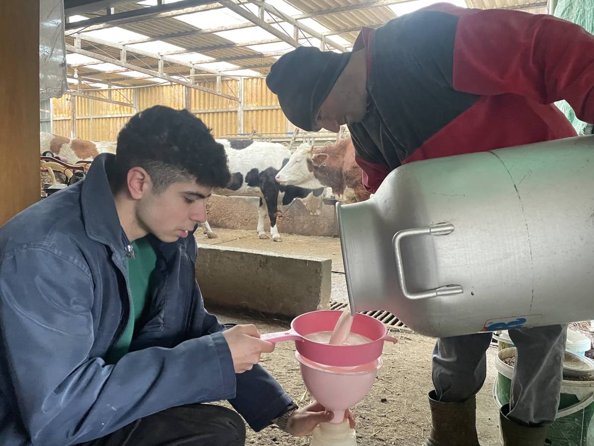 Bir litre çiğ süt maliyeti 27,64 liraya yükseldi