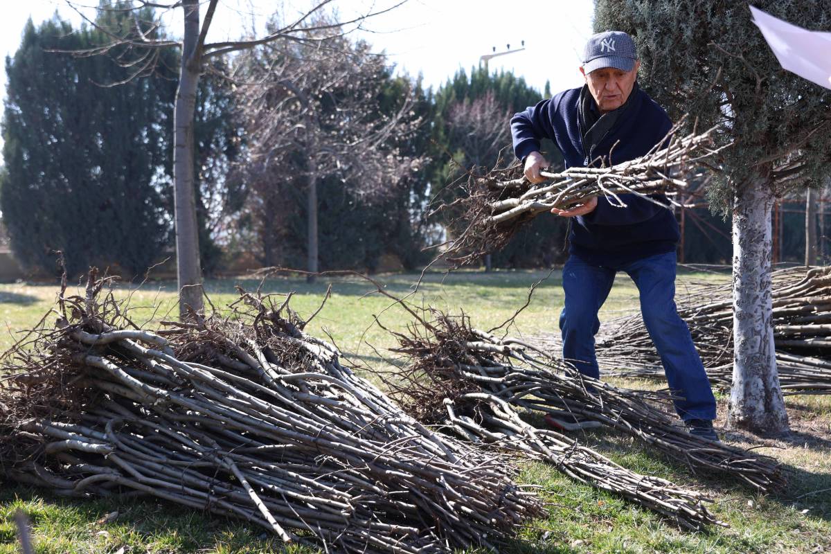 Konya Büyükşehir 2 ayda 23 bin 530 meyve fidanı dağıtacak