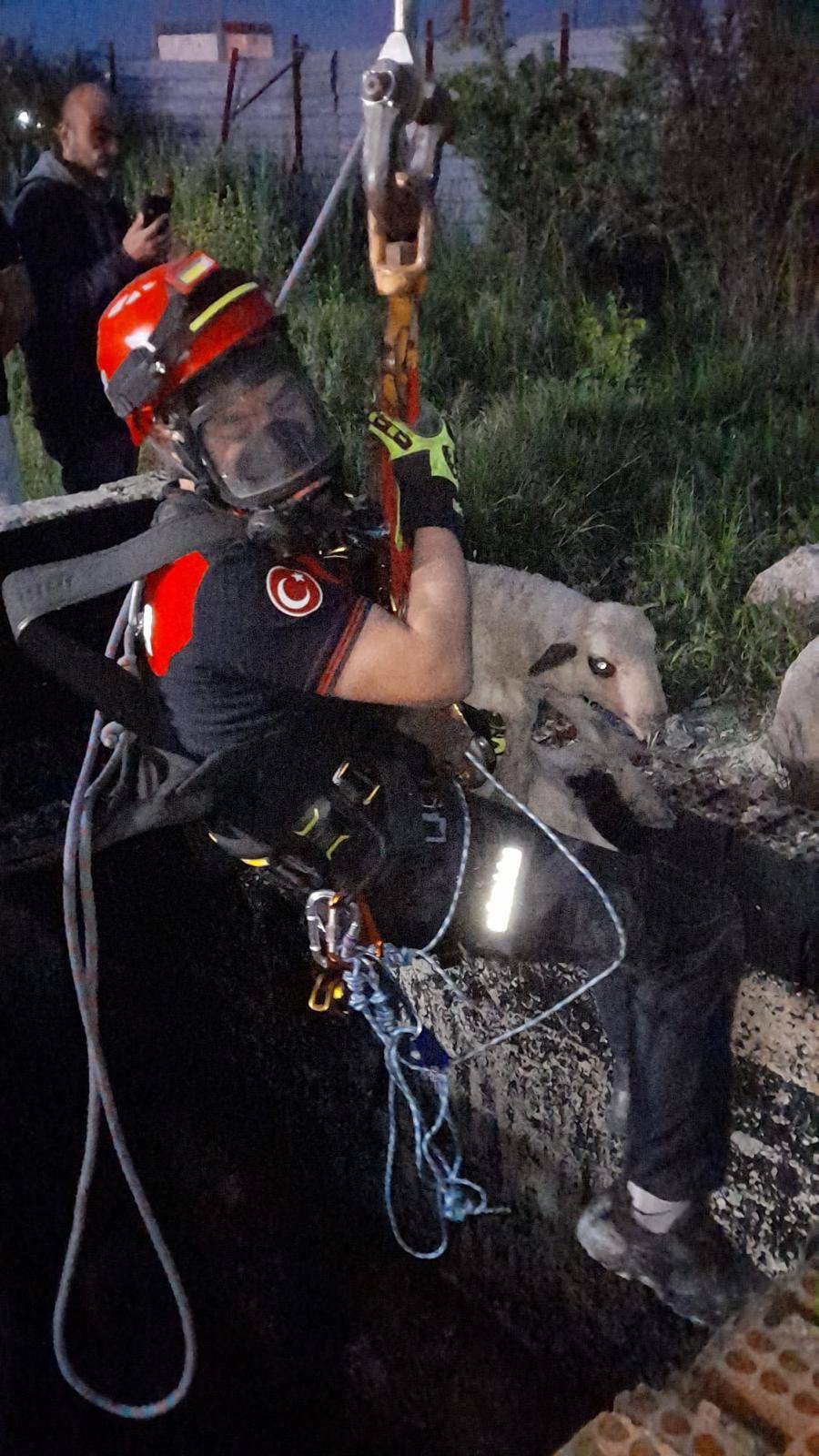 20 metrelik kuyuya düşen kuzu kurtarıldı