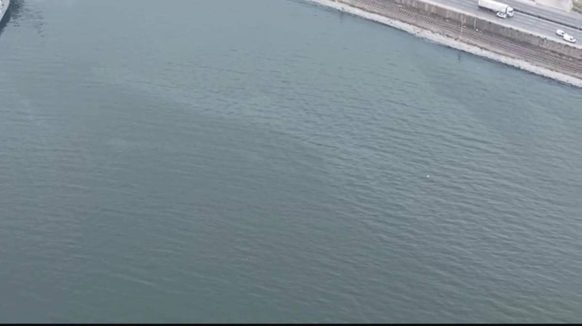 İzmir Körfezi'nde yakıt içerikli kirlilik tespit edildi