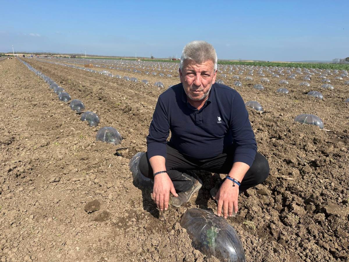 Salçalık domateste eveki hesap