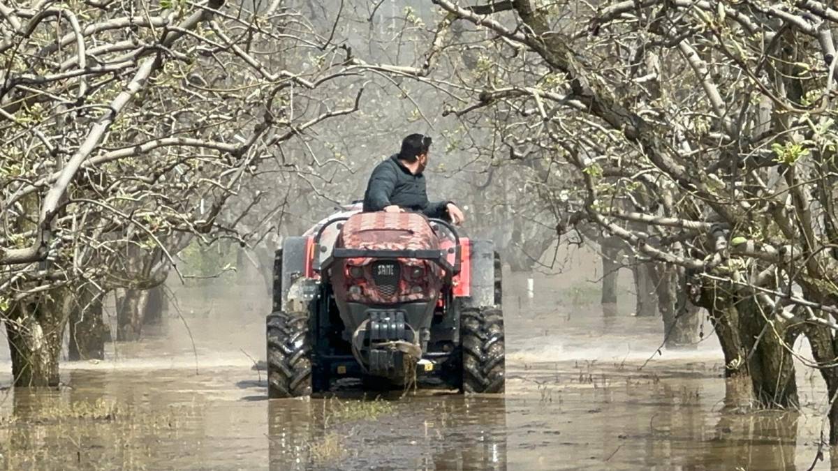 Bursa'da yüzlerce dönüm şeftali ve armut bahçesi su altında