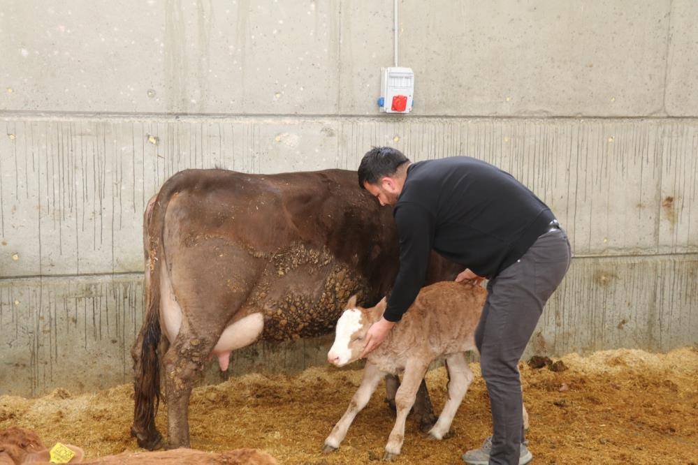 Yüzde 50 hibe ile kurulan