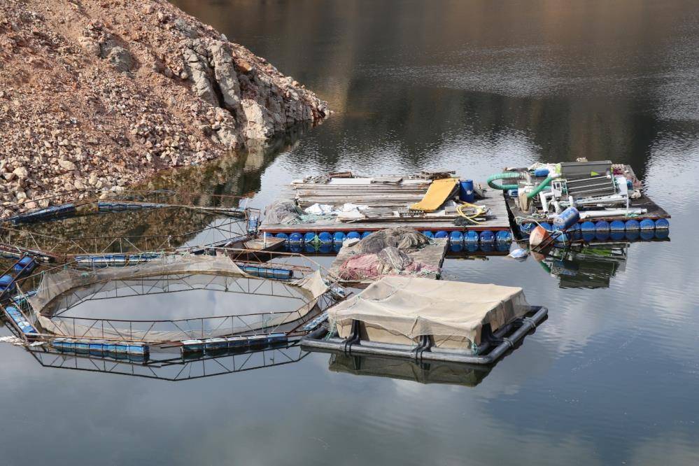 Oltu Çayı'nın suyuyla yılda 300 ton somon adayı üretiyorlar