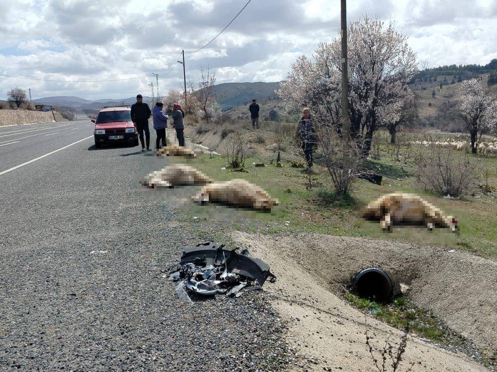 Elazığ'da otomobil koyun sürüsüne daldı, 9 hayvan telef oldu