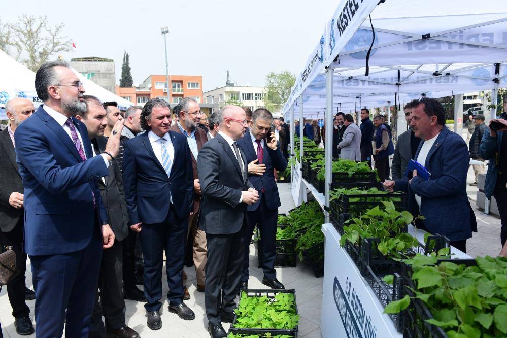 Kestel'de 6 bin ahududu fidanı dağıtıldı