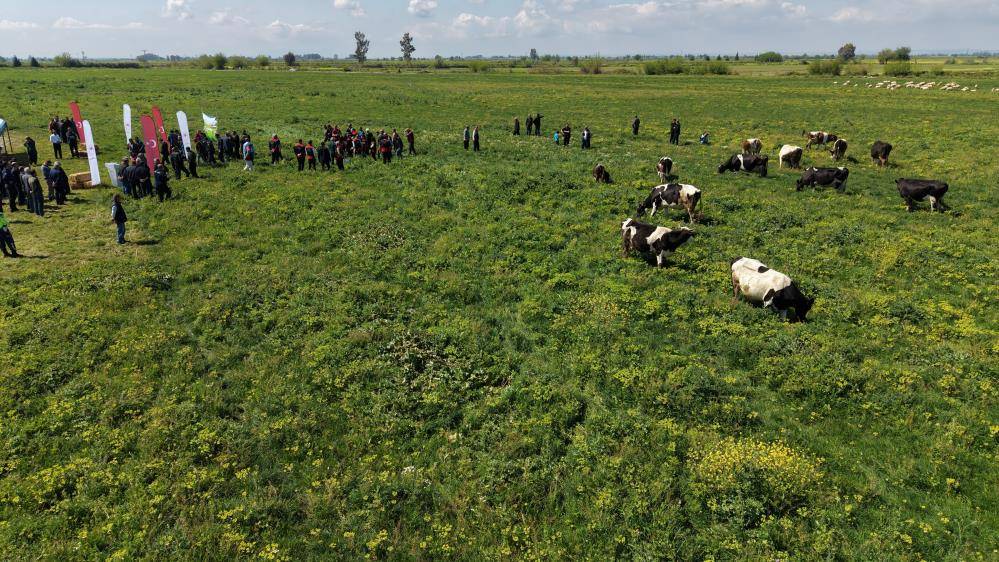 Islah edilen mera alanı dualarla otlatmaya açıldı
