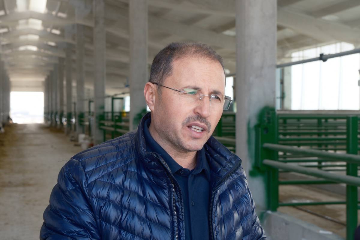 Kuş filesi ile hem pislikten hem hastalık riskinden kurtuldu