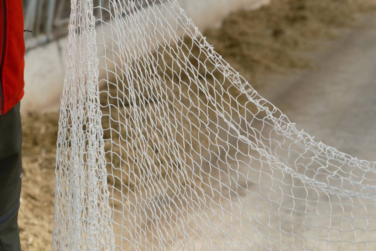 Kuş filesi ile hem pislikten hem hastalık riskinden kurtuldu