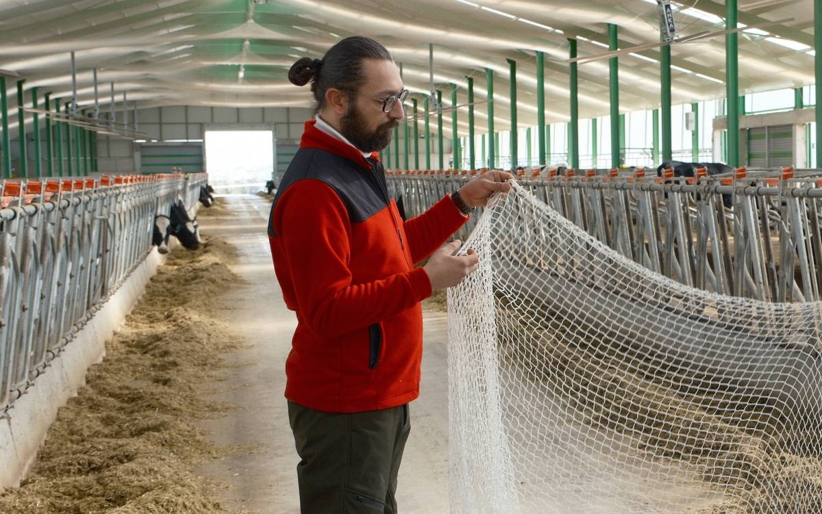 Kuş filesi ile hem pislikten hem hastalık riskinden kurtuldu