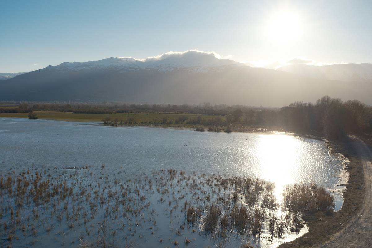 Kuruyan Akşehir Gölü'nde son yıllarda görülmeyen oldu