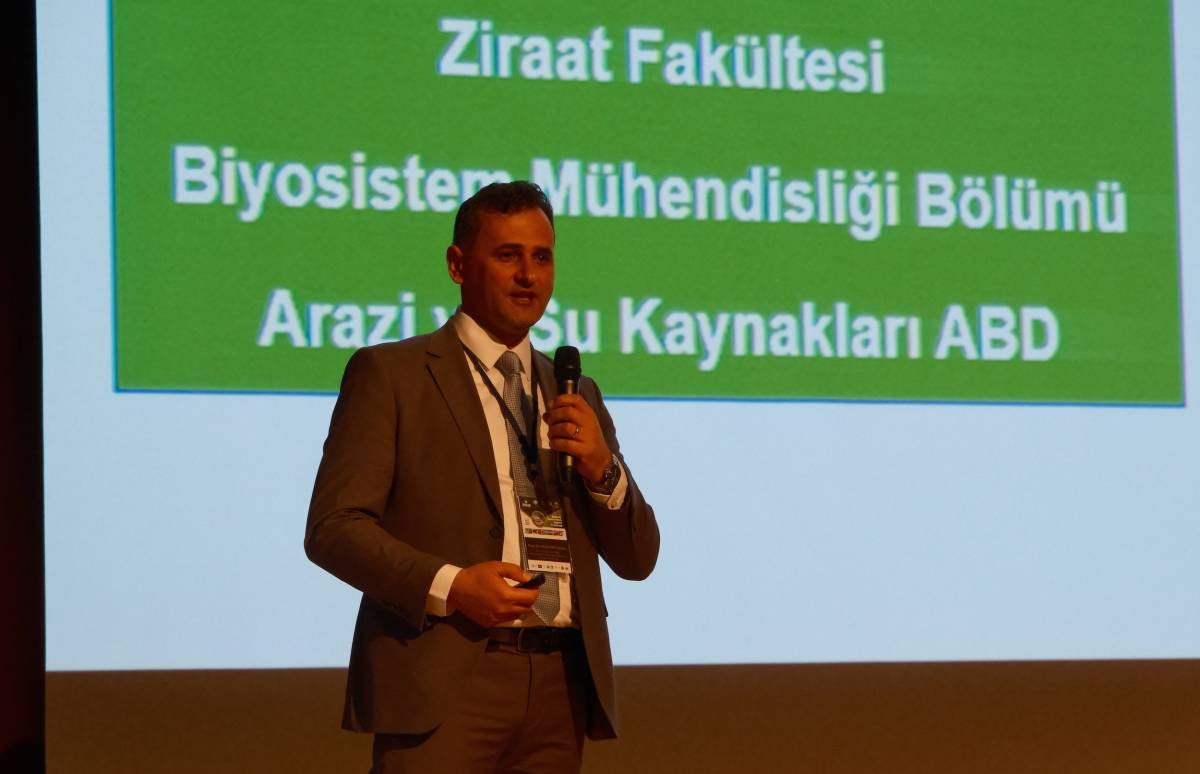 Bir kilogram zeytin için 6798 litre su harcanıyor