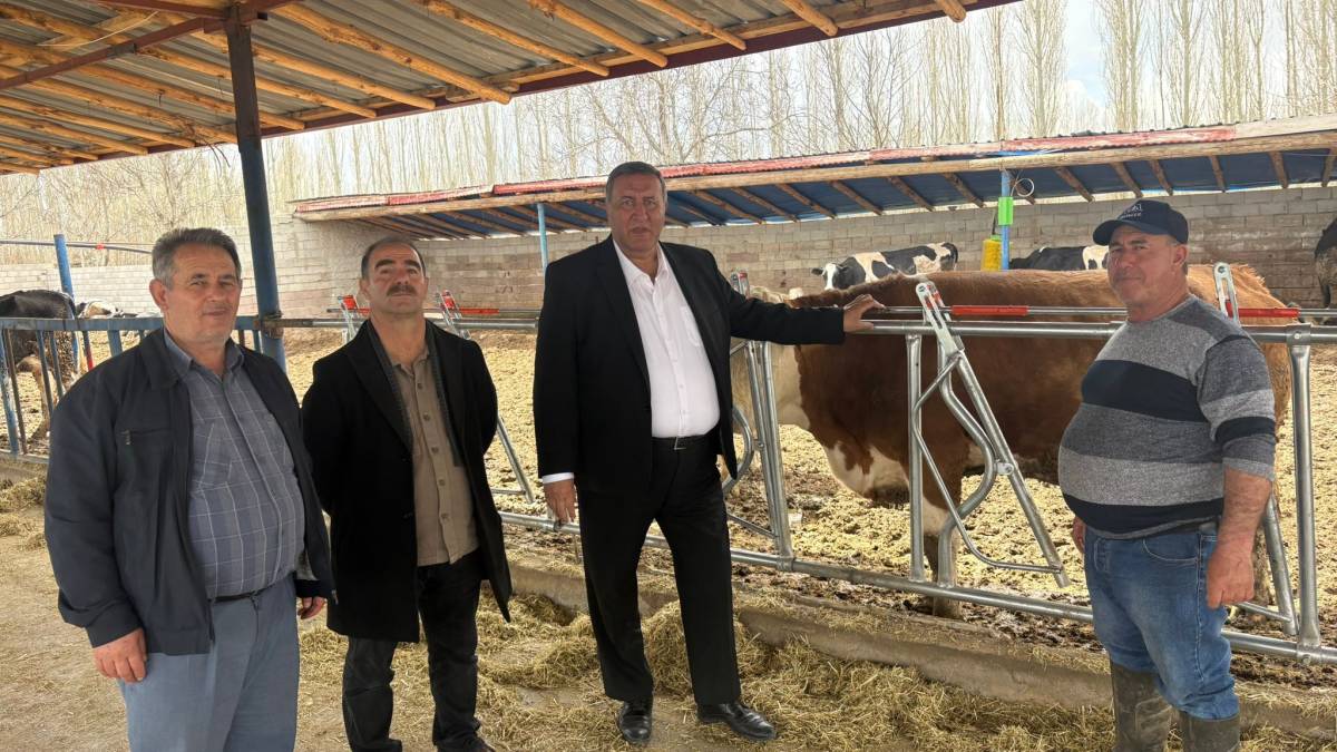 Süt üreticisi: Yemde yüzde 50 devlet desteği sağlanmalı