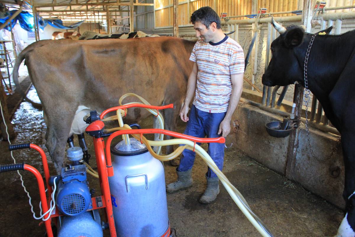 Çiğ süt maliyetini 