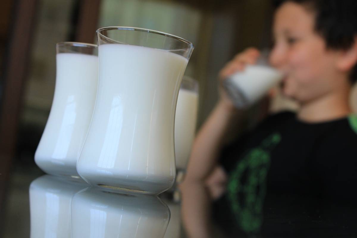 Çiğ süt yerinde sayarken fiyatı artan peynir lüks oldu