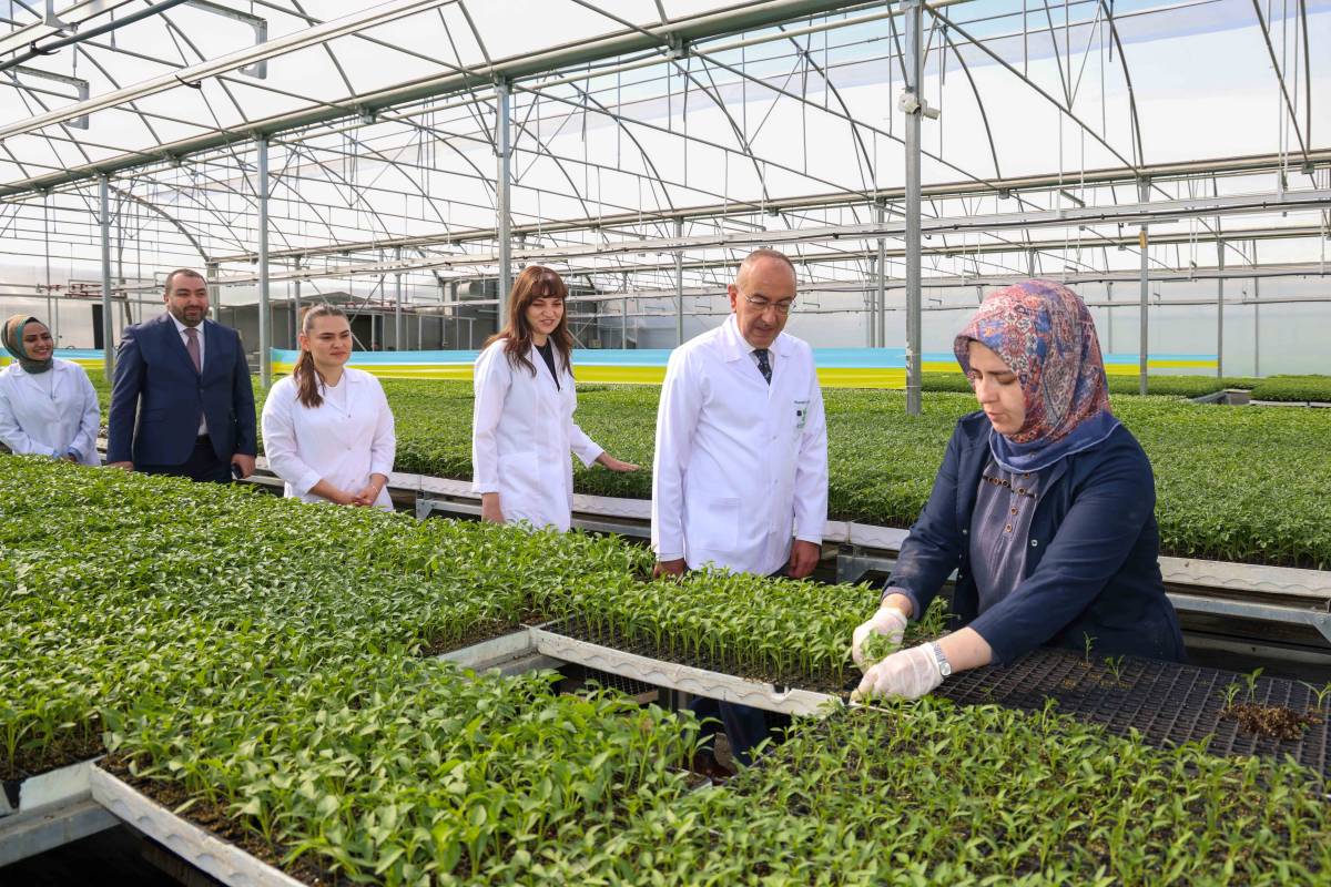 Konya tarımına güç katan Konya Fide'de satışlar başladı