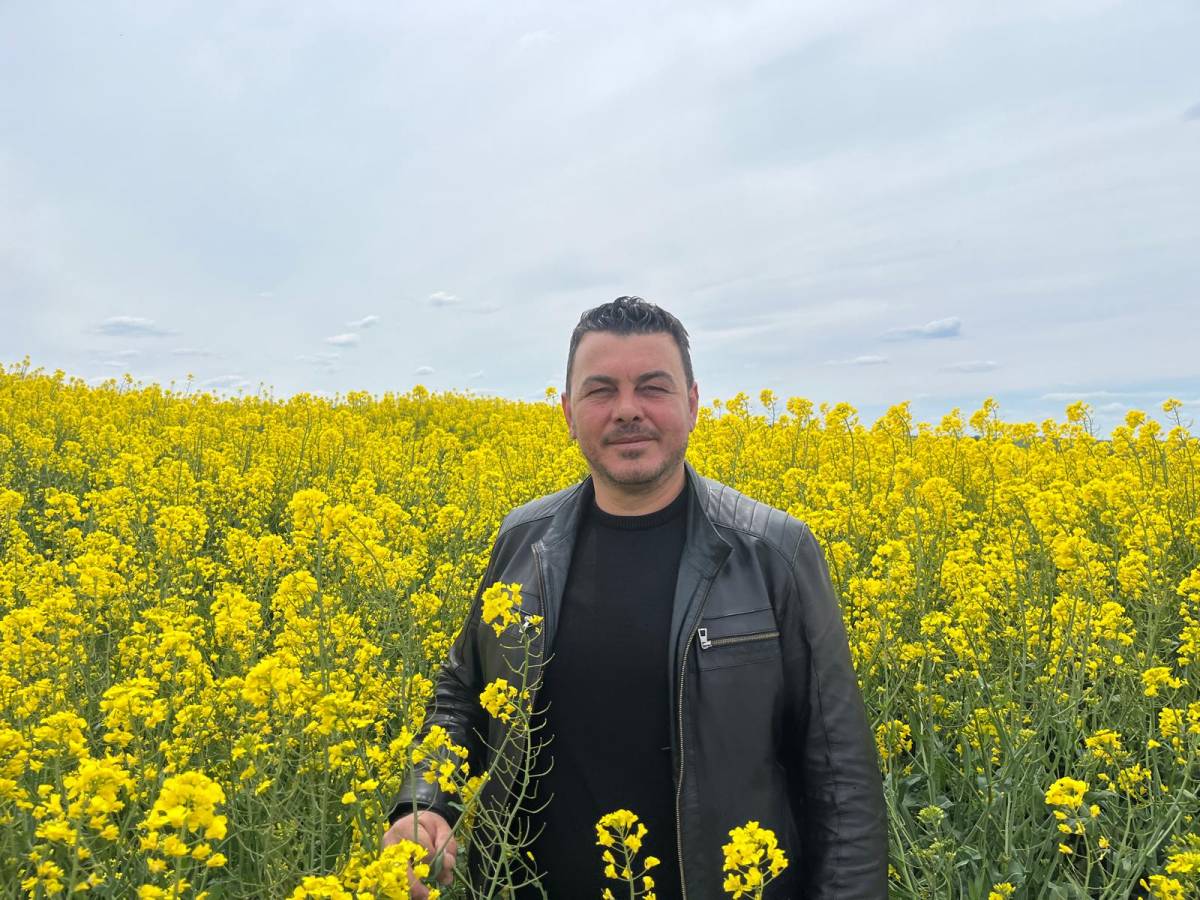 Edirne'de kanola ekimi 40 binden 100 bin dönüme çıktı