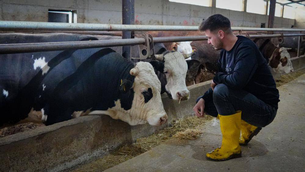 Neşet Ertaş hayranı besici kurbanlıklarına saz çalıyor