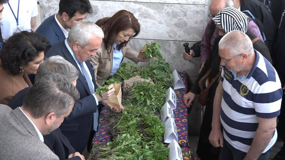 Nilüfer'de 8 çeşitte 120 bin sebze fidesi dağıtıldı