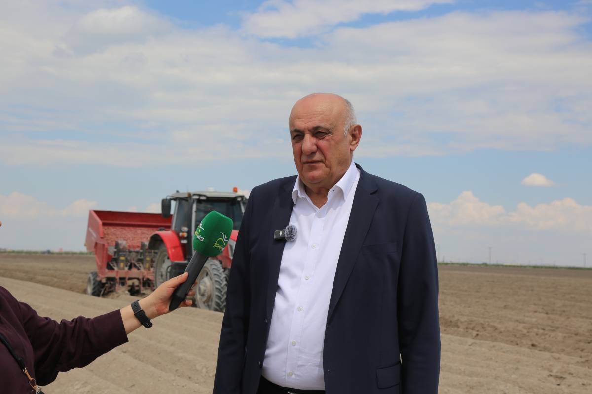 Konya Şeker gelecek yıl ithal patates tohumu kullanmayacak